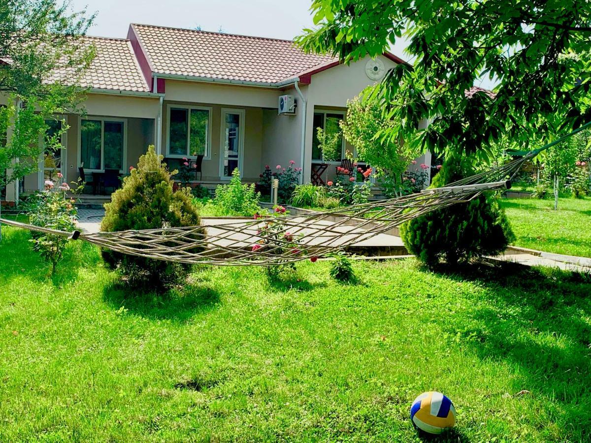 One Dom Cottage Qabala Extérieur photo